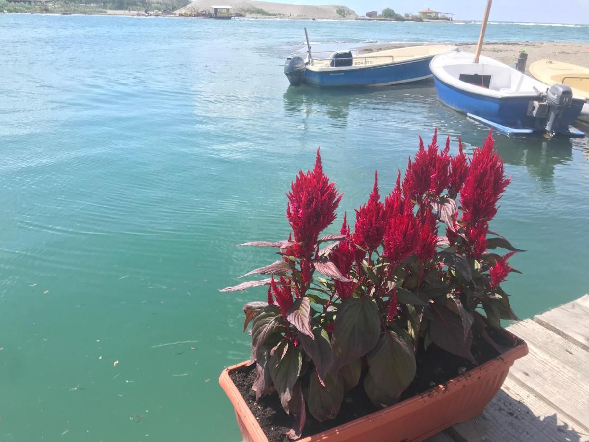 Kucica Na Adi Bojani Villa Ulcinj Eksteriør billede